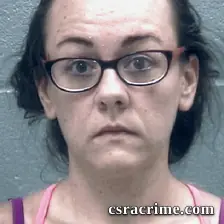 Hillary Laird booking photo