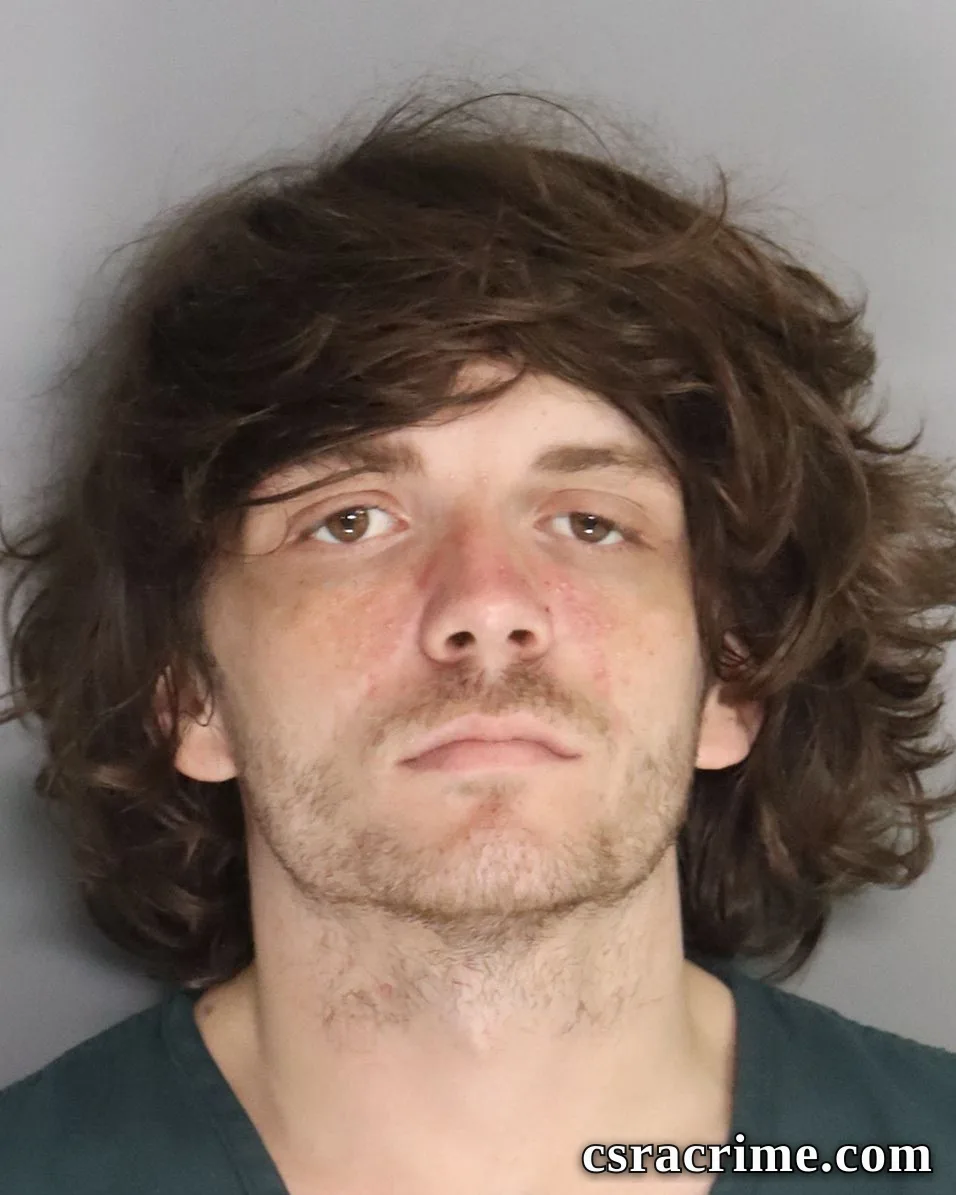 Holden Martin booking photo