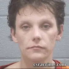 Hollee Peel booking photo