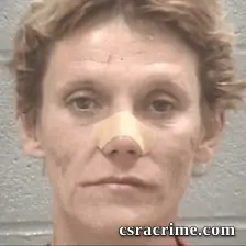 Hollee Viola Peel booking photo