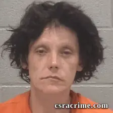 Hollee Viola Peel booking photo
