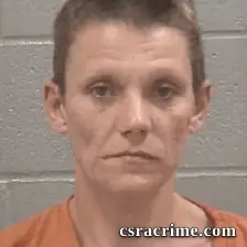 Hollee Viola Peel booking photo