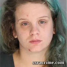 Holley Andrews booking photo
