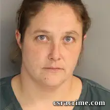 Holley Stein booking photo