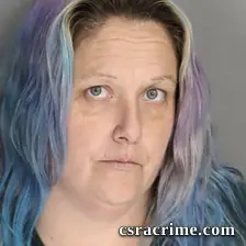 Holley Stein booking photo
