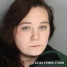 Holli Wilkey booking photo