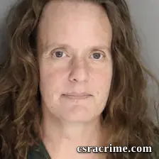 Holly Angermeier booking photo