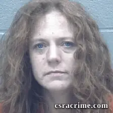 Holly Livernois booking photo