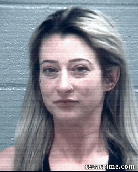 Holly Ricketson booking photo