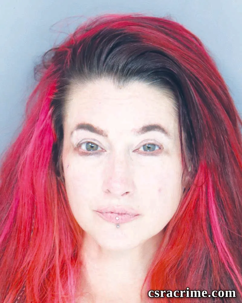 Holly Ricketson booking photo