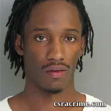 Holly Williamson booking photo