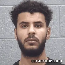 Hossam Mohamed booking photo