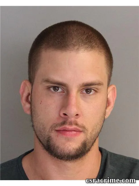 Houston Holsomback booking photo