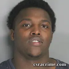 Iris Perry JR booking photo