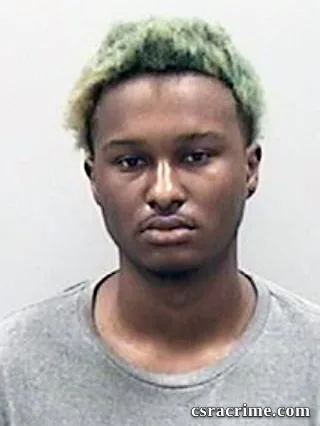 Isaiah Stewart booking photo