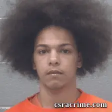 Isaiah Williams booking photo