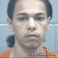 Isaiah Williams booking photo