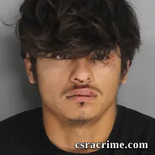 Isaias Martinez booking photo
