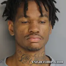 Isyah Rose booking photo