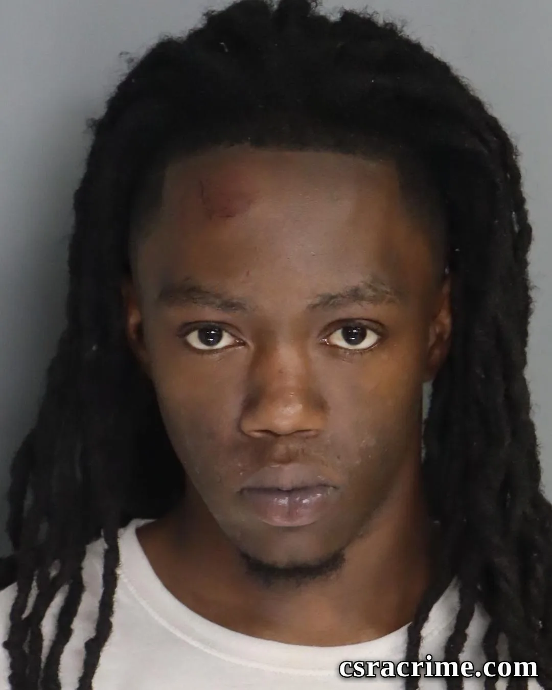Iterrius Johnson booking photo