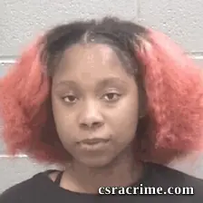 Ja'chundria Ny'kole Lee Frye booking photo
