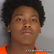 Ja'Nalee Raiford booking photo