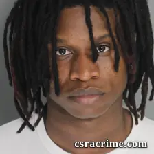 Jaden Williams booking photo