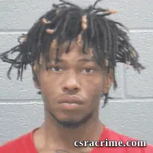 Jahlil Williams booking photo