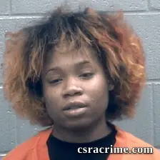 Jakeela Pollard booking photo