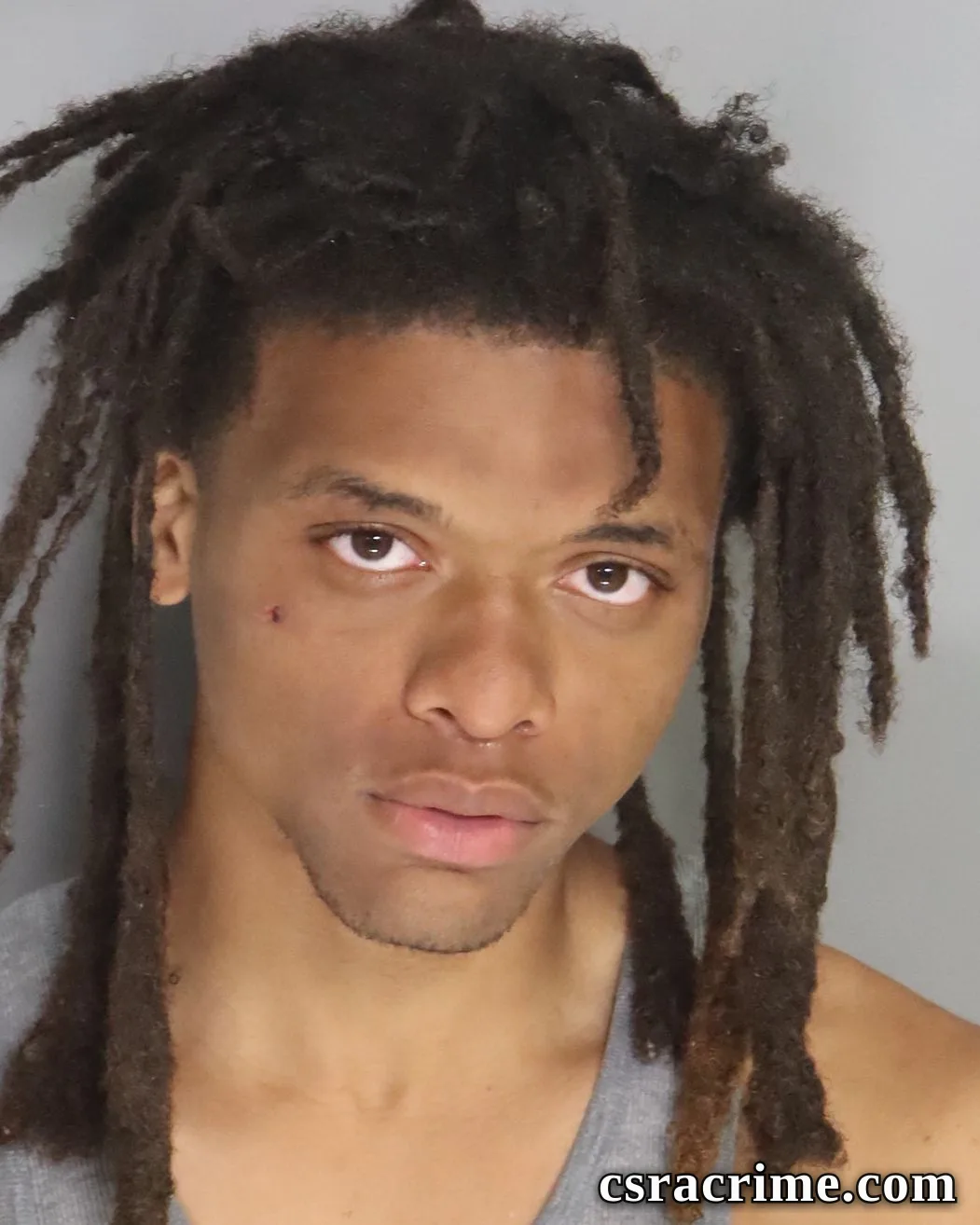 James Brown booking photo