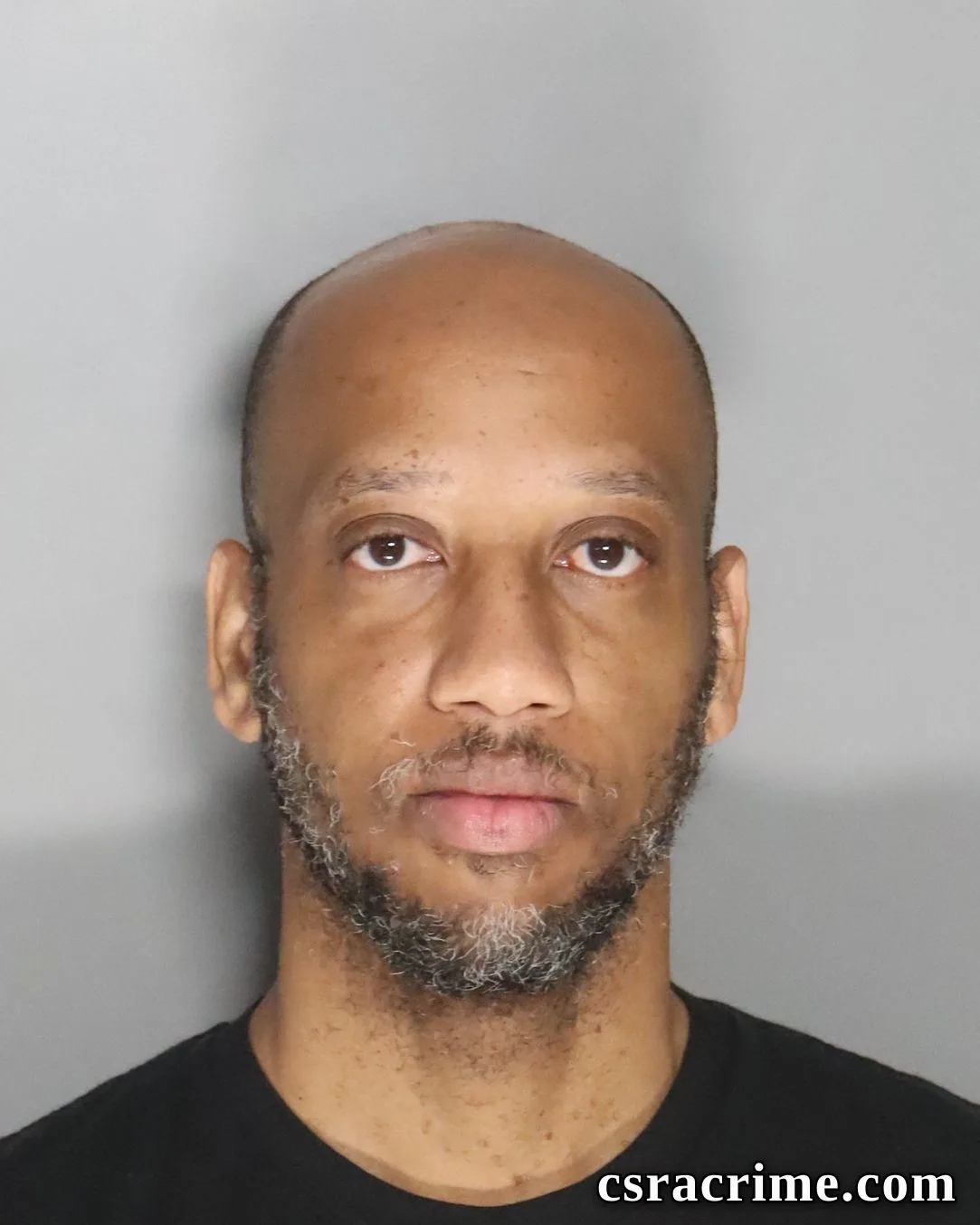 James Dickerson JR booking photo