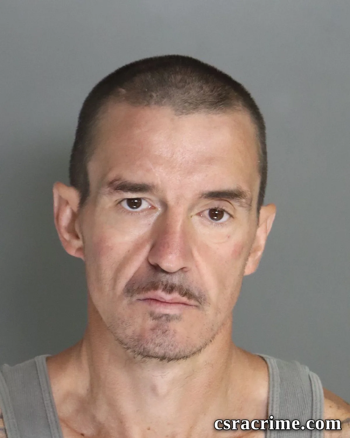 James Lower JR booking photo