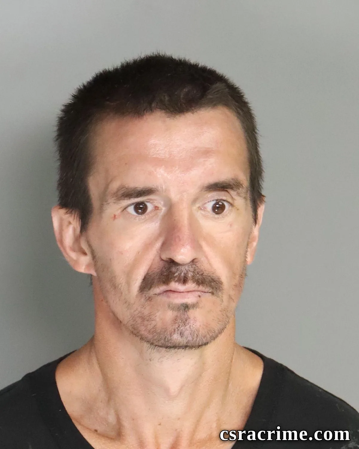 James Lower JR booking photo