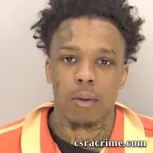 James Michael Robinson booking photo
