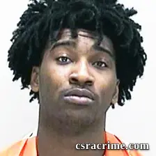 James Williams booking photo