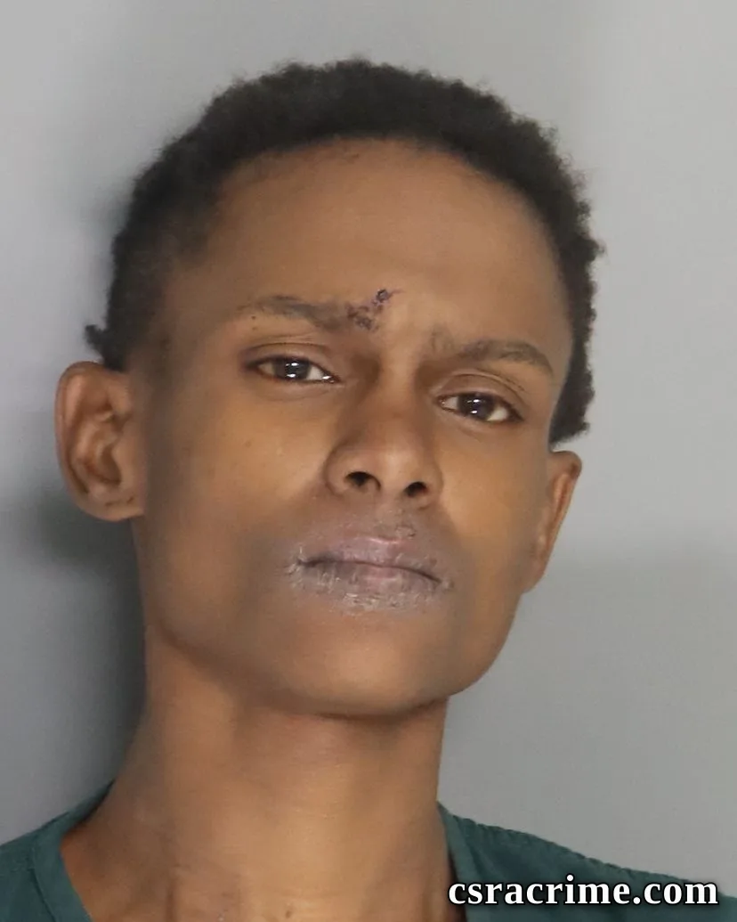 Jamesa Islar booking photo