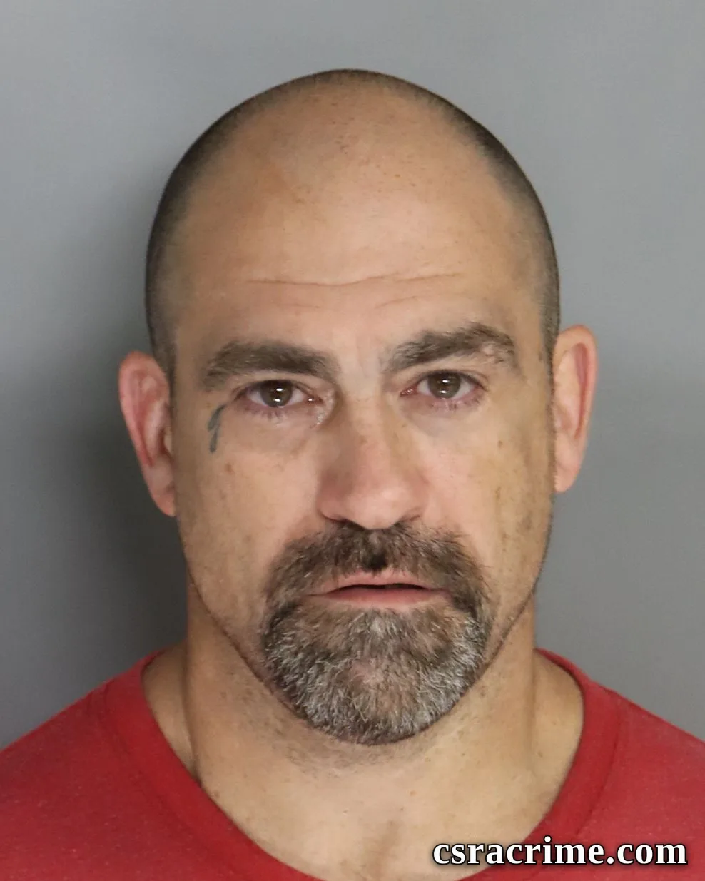 Jamie Davis booking photo