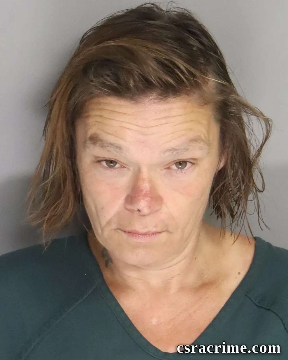 Jamie Lower booking photo