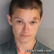 Jamie Lower booking photo