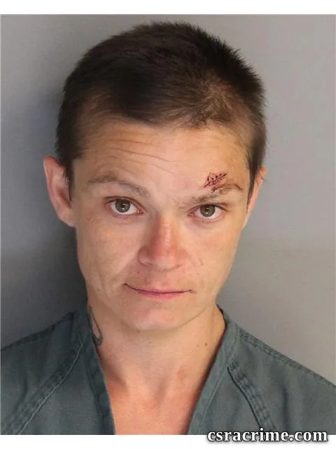 Jamie Lower booking photo