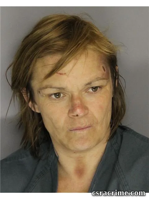 Jamie Lower booking photo