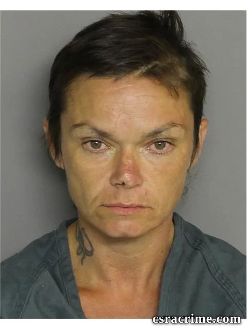 Jamie Lower booking photo