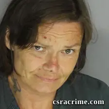 Jamie Lower booking photo