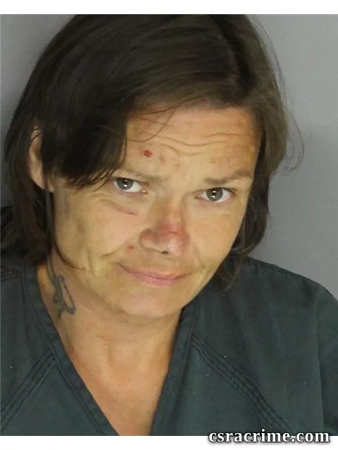 Jamie Lower booking photo