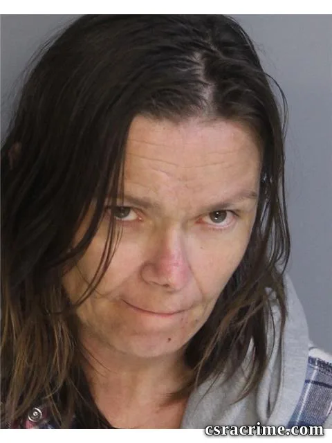 Jamie Lower booking photo