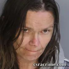 Jamie Lower booking photo