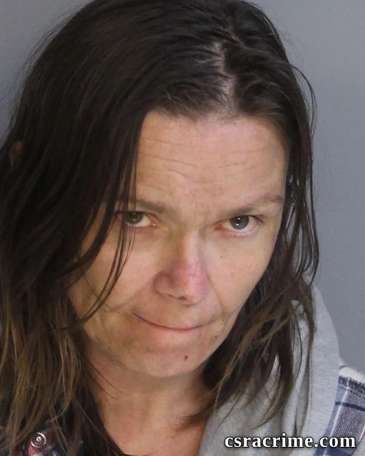Jamie Lower booking photo
