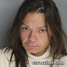 Jamie Lower booking photo