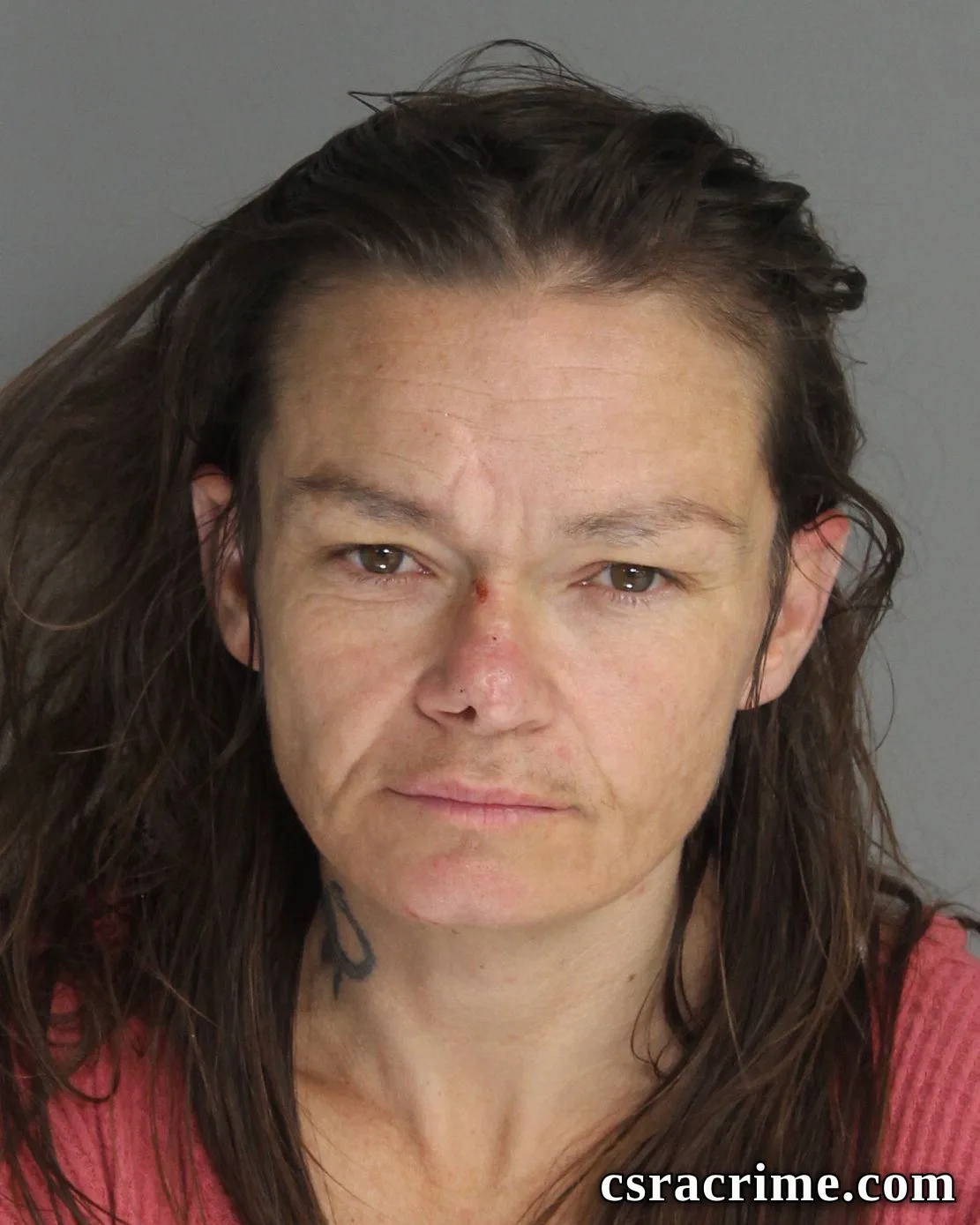 Jamie Lower booking photo