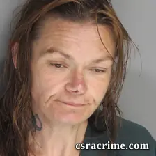 Jamie Lower booking photo